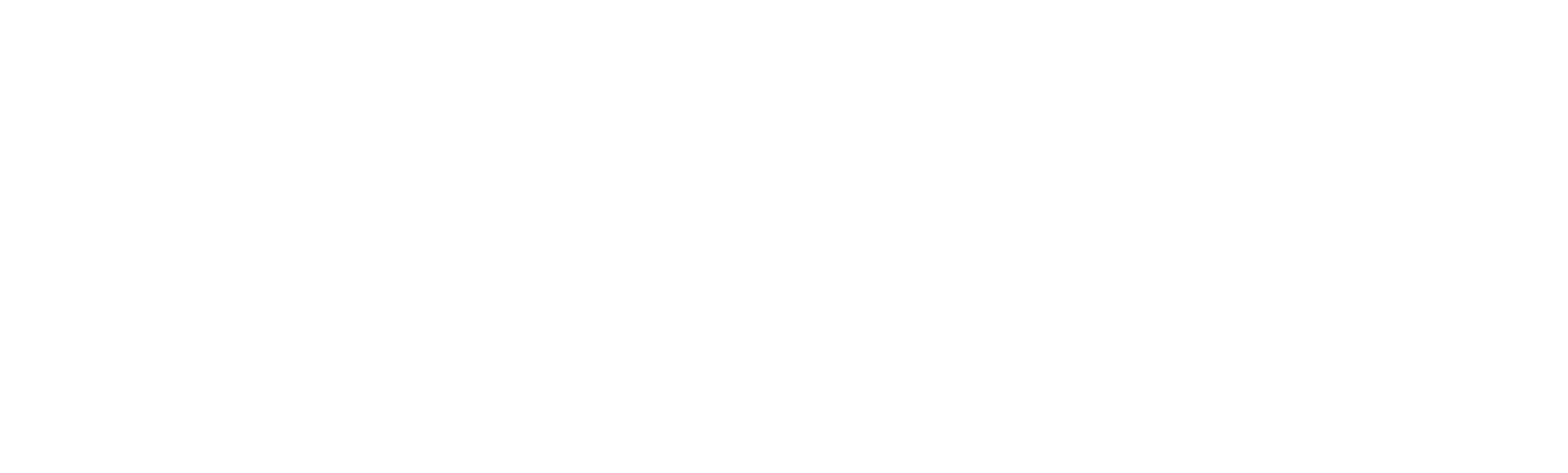 Wild 6 Logo